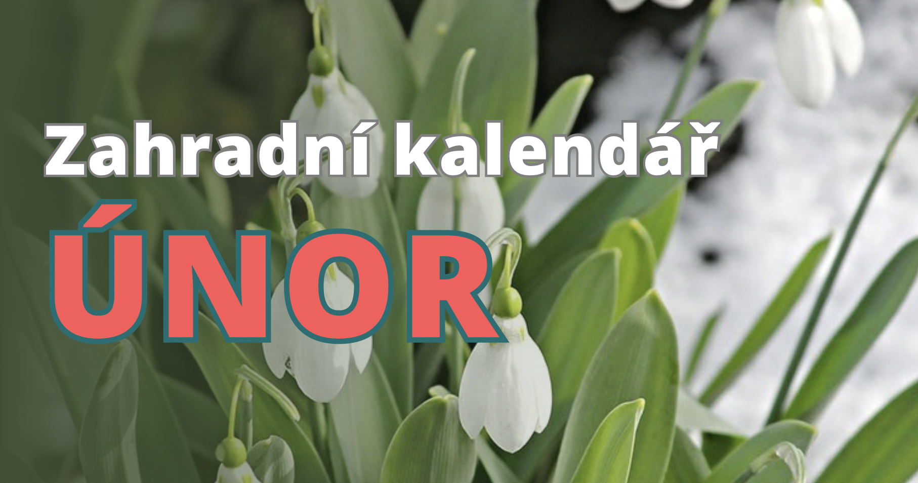 Zahradní kalendář - únor.