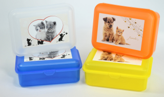 Box 1,50l, svačina, MAZLÍČI-friends, 18x13x7cm, plast
