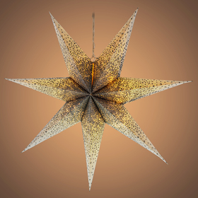 Hvězda bílostříbrná závěsná 10LED