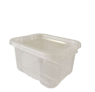 Box 2,0l+víko, plný, 20x15x10cm, transp.RASTR, MULTIBOX, plast