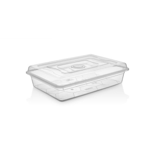 Box 6,5l MULTI 42,5x30x10,5cm, víko, transp.plast