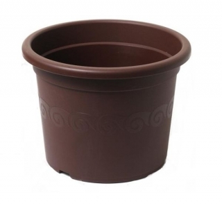 Obal d35cm Narcis Čoko
