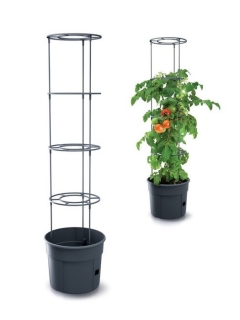 Květ. d39,2x31,5cm TOMATO GROWER antracit