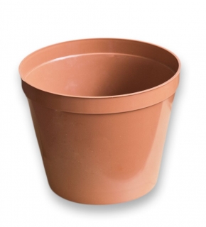 Květ. d20cm Standard TER