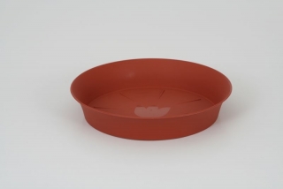 Podmiska d45cm TER TULIPÁN