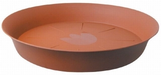 Podmiska d40cm TER TULIPÁN