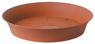 Podmiska d24cm TER TULIPÁN