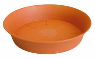 Podmiska d14cm TER TULIPÁN