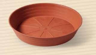 Podmiska d16cm TER PRIMAVERA