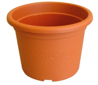 Obal d15cm Narcis TER