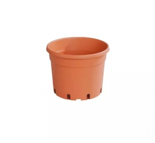 Květ. d21cm CLASSIC MCI /dez/4,0l TER